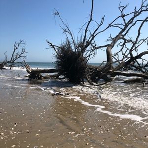 Meet your Posher, Wanda